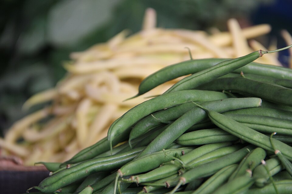 Fresh green beans