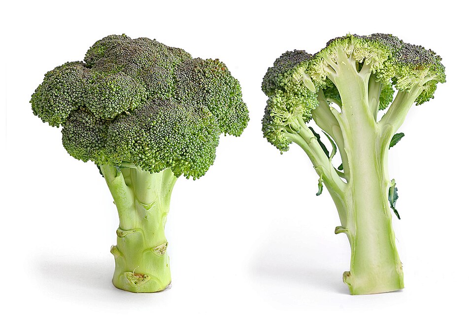Broccoli head