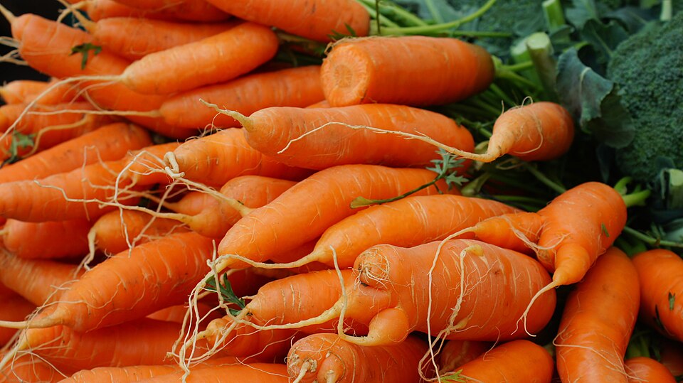 Orange carrots at market