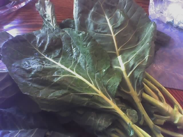 Collard green leaves
