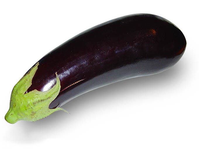 Purple eggplant fruit