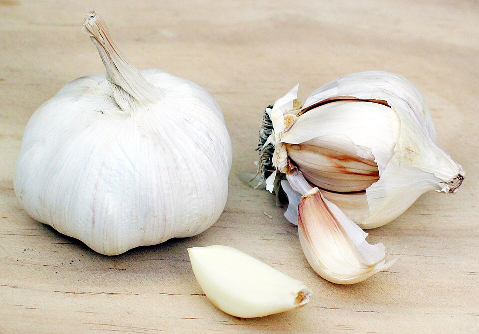 Garlic bulbs