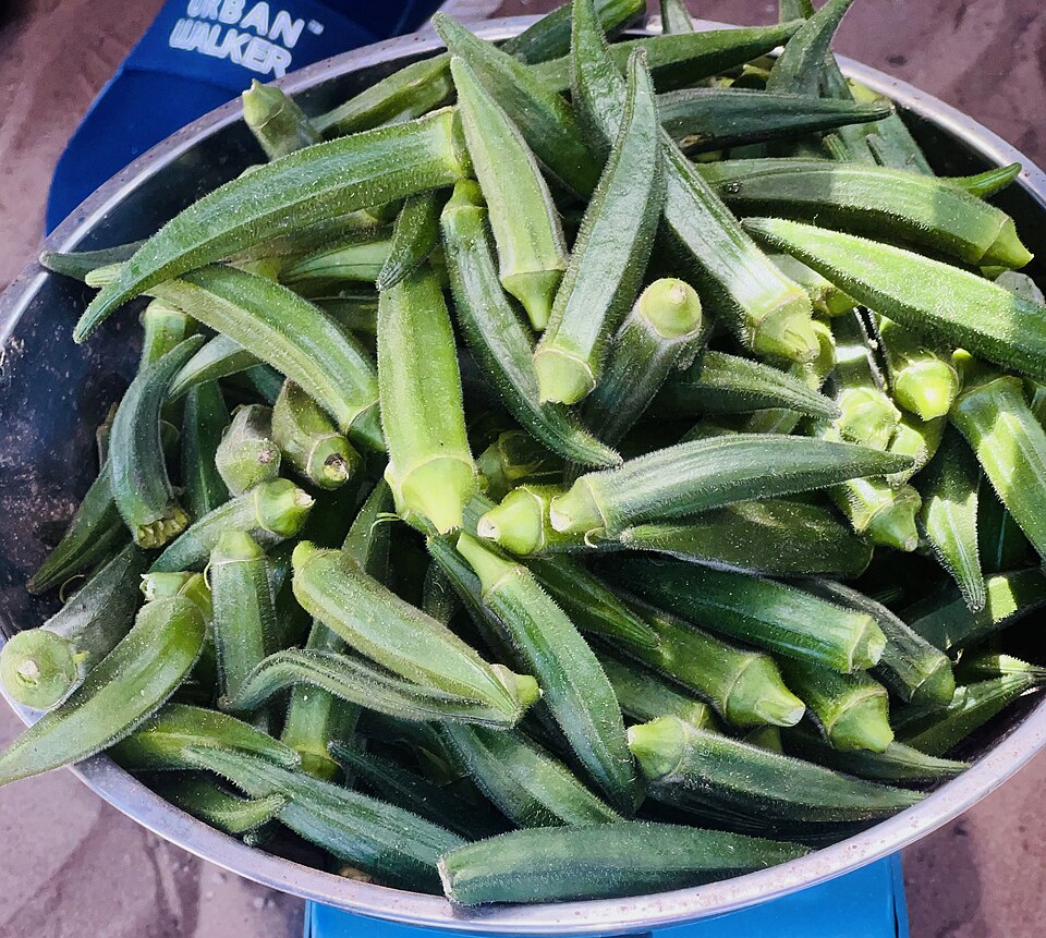 Green okra pods