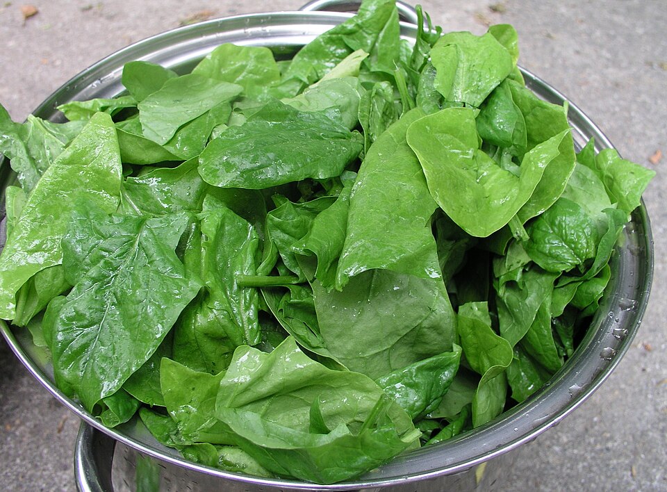 Fresh spinach leaves