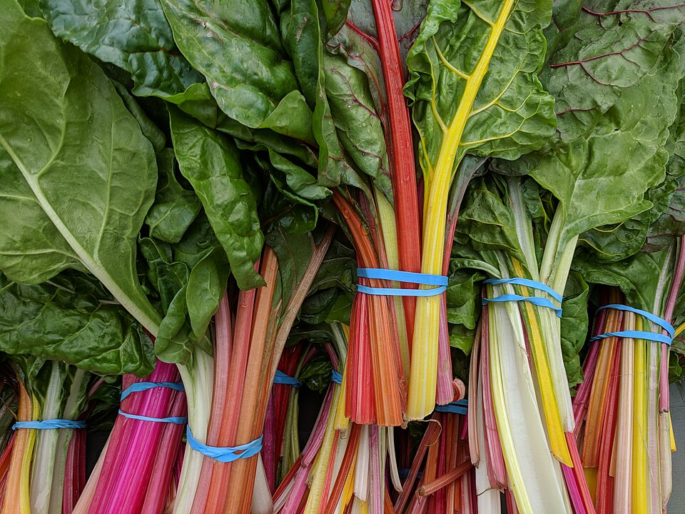 Rainbow Swiss chard