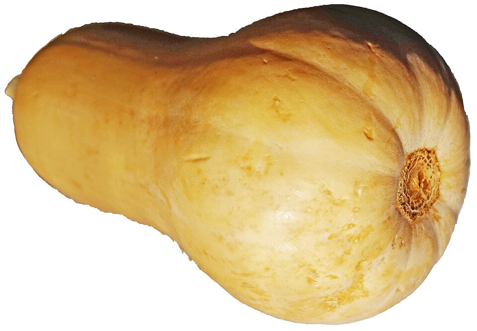Butternut squash