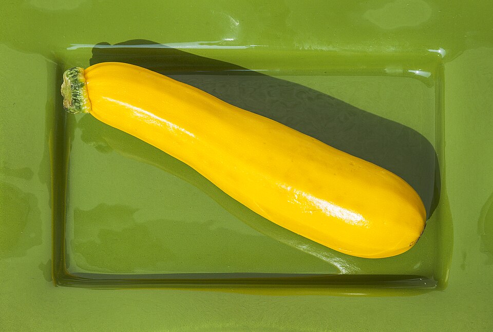 Green zucchini squash